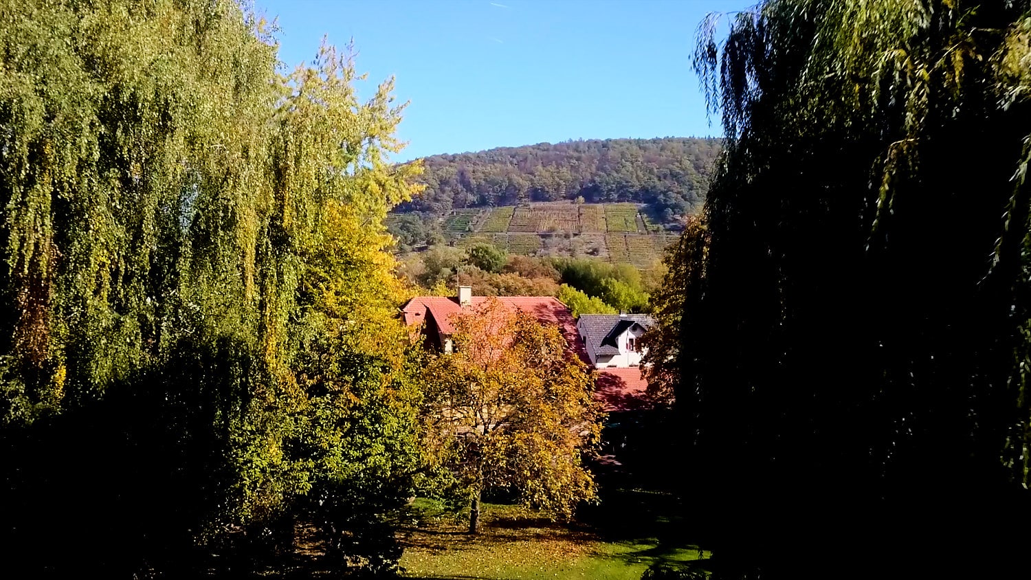 Hochzeit Hofgut von Hünersdorff Wiese