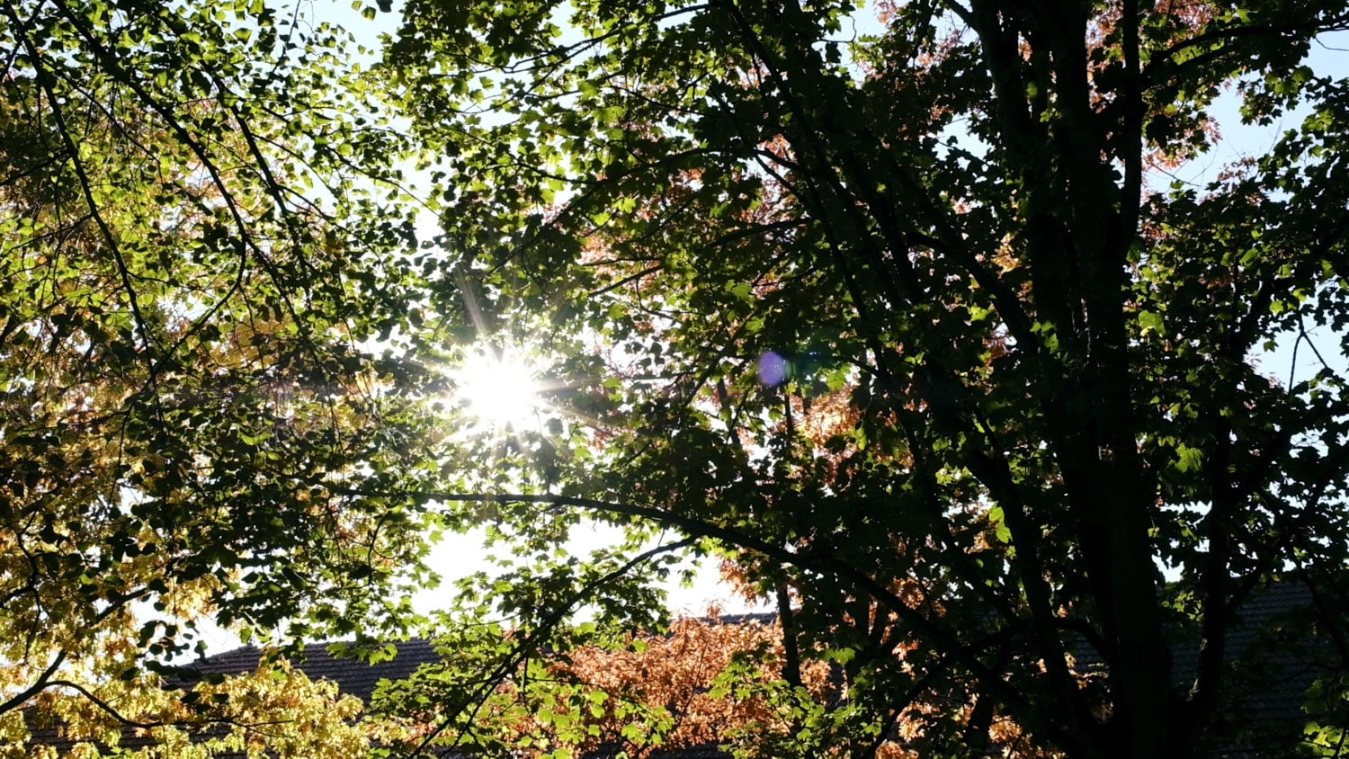 Hochzeit Hofgut von Hünersdorff 