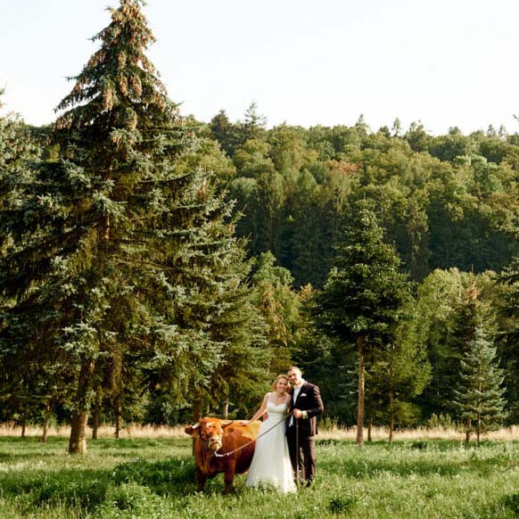 Hochzeit Schloss Neuhaus Sinsheim Meike + Fabian